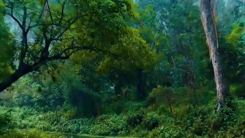 A beautiful path through the middle of the forest 😍