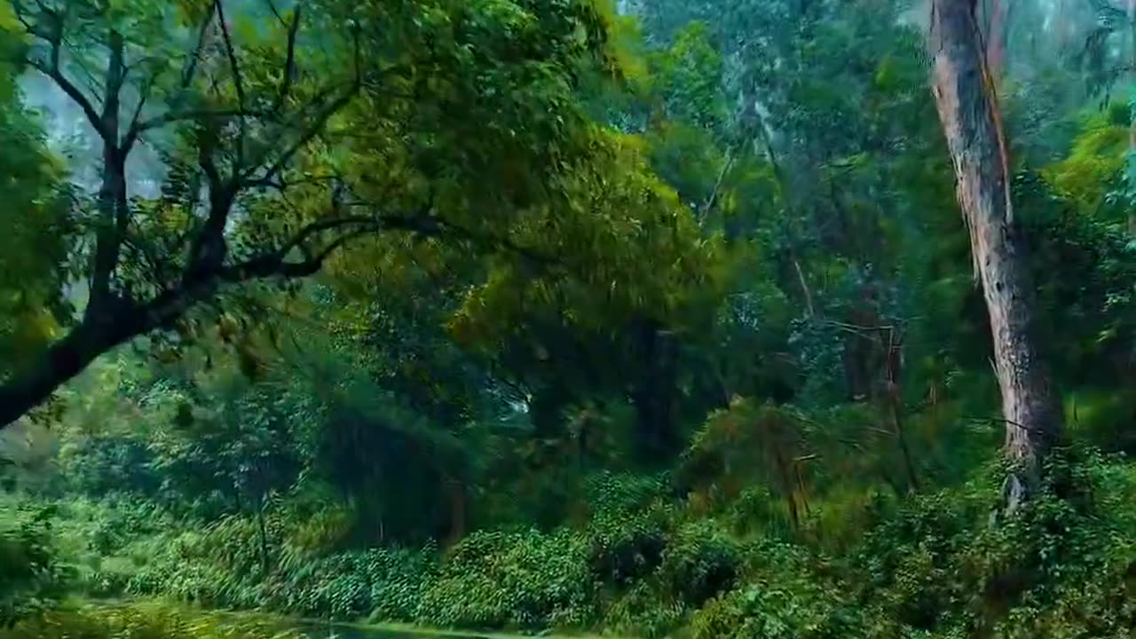 A beautiful path through the middle of the forest 😍