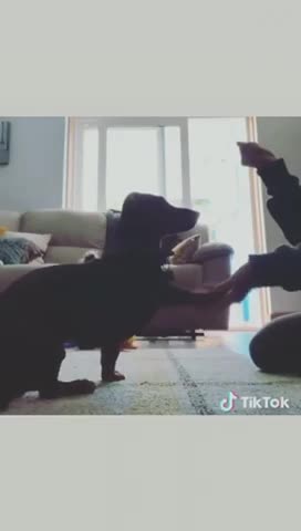 He does pretty acrobatic moves