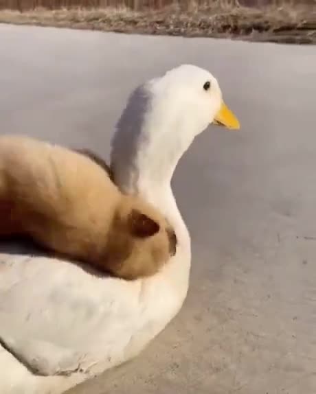 Just the two of us. 29 secs of peace.