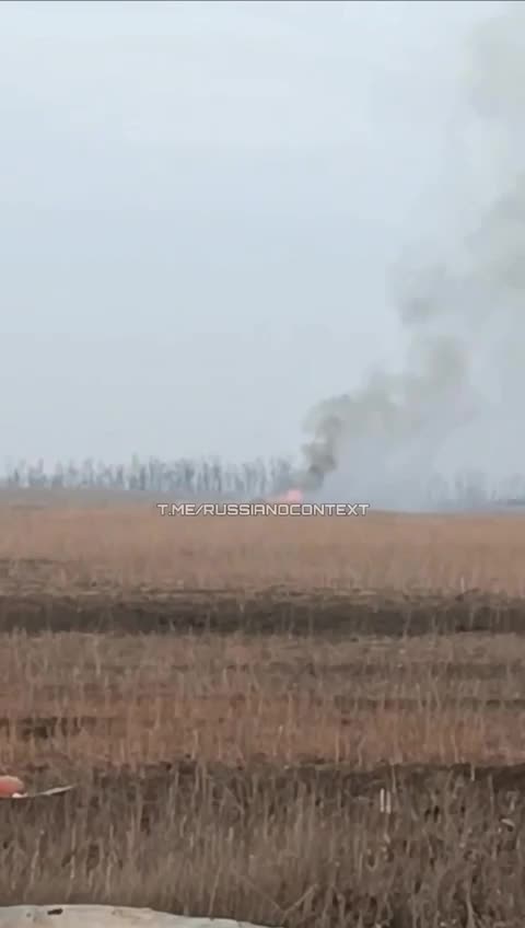 "There was a tank - and there is no tank. That's what this little creature is