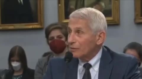 Fauci: “There were no lockdowns in America, only a few restrictions"