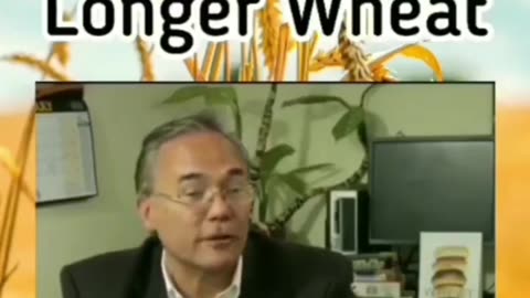 Wheat is no longer Wheat.