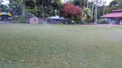 19.10.2023 Failing Sprinklers, Kuranda