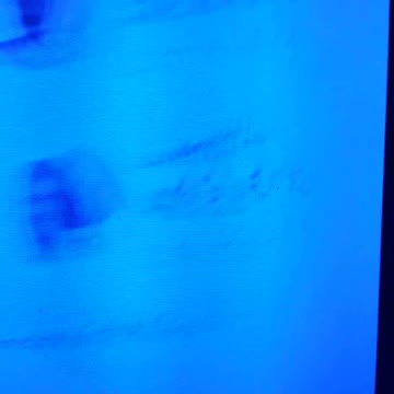 INTERNATIONAL WIDE ELECTION FRAUD VOTING MACHINE CRIME, GEORGIA RUNOFF SHAM ELECTION CRIME 192