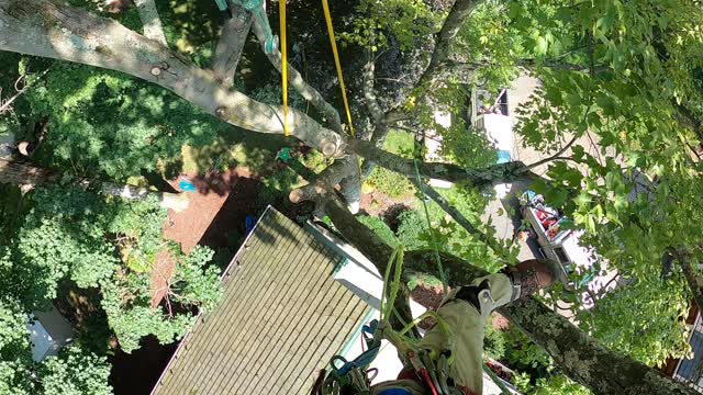 New to making content so bare with me. I usually forget to turn on the Go Pro when I'm trimming.