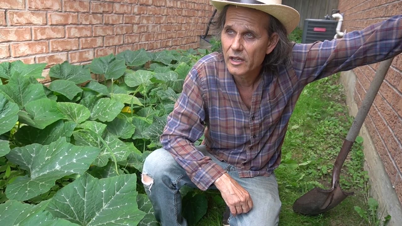 MUTANT KILLER SQUASH INVADE CANADA