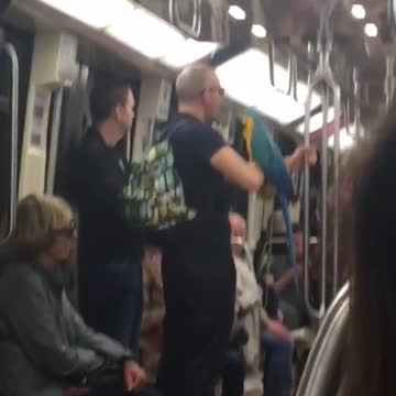 Glasses guy has tropical bird parrot on subway