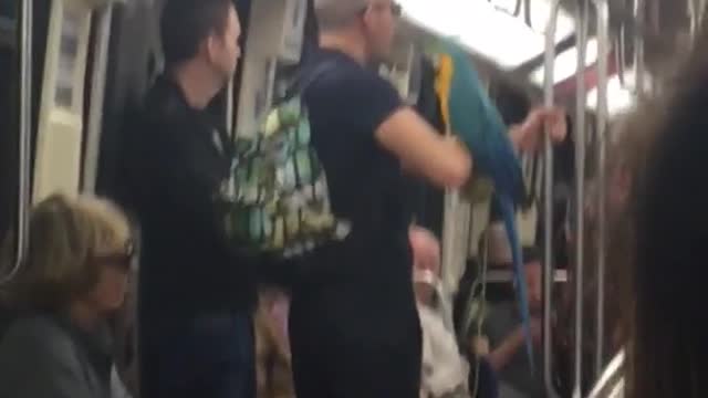 Glasses guy has tropical bird parrot on subway