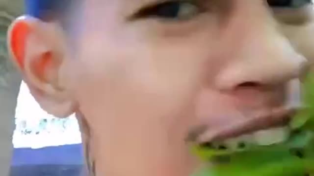 eat healthy vegetables
