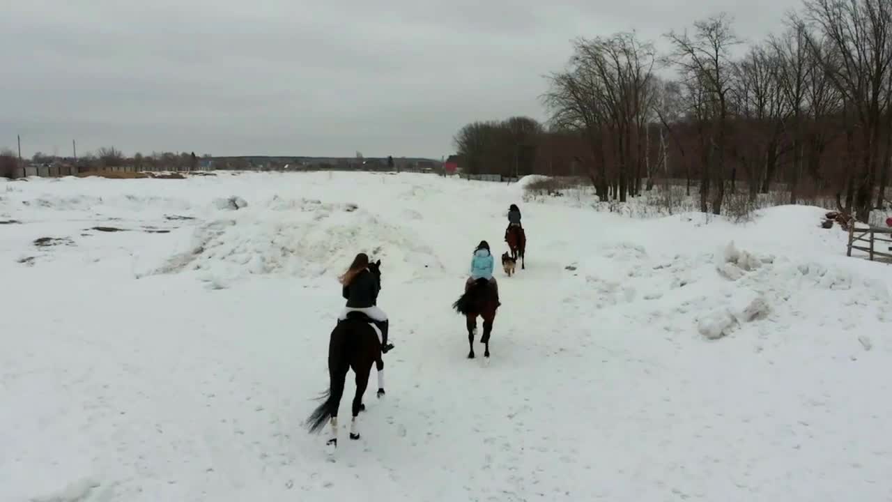 A group of young women riding horses on a snowy field. Back view