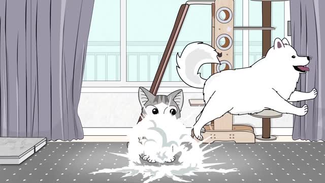 Cute Cats & Dogs Pets