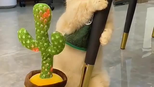 Awww! 🥰😻💕