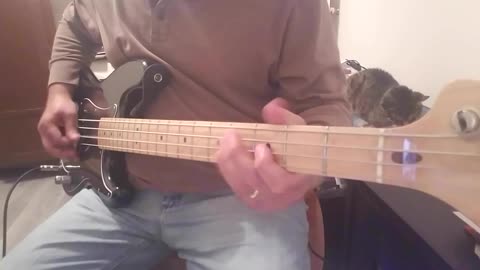 Devo - Ton Of Luv Bass Cover