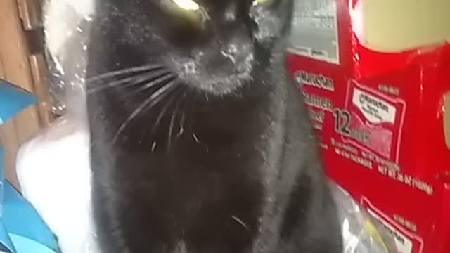 She's on a diet.....