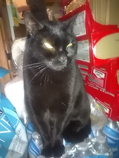 She's on a diet.....