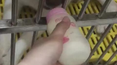 Although he's grown up, he thinks he's still a kid