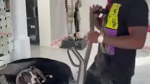 My dog Barking for saving me and other dog not get reaction