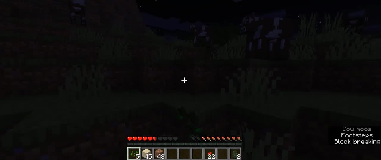 minecrafttiktokhacks_minecrafthacks_minecrafttiktok_shortsminecraft_1 (20)