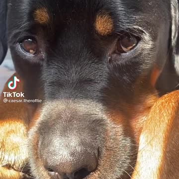 Here's come the boy....