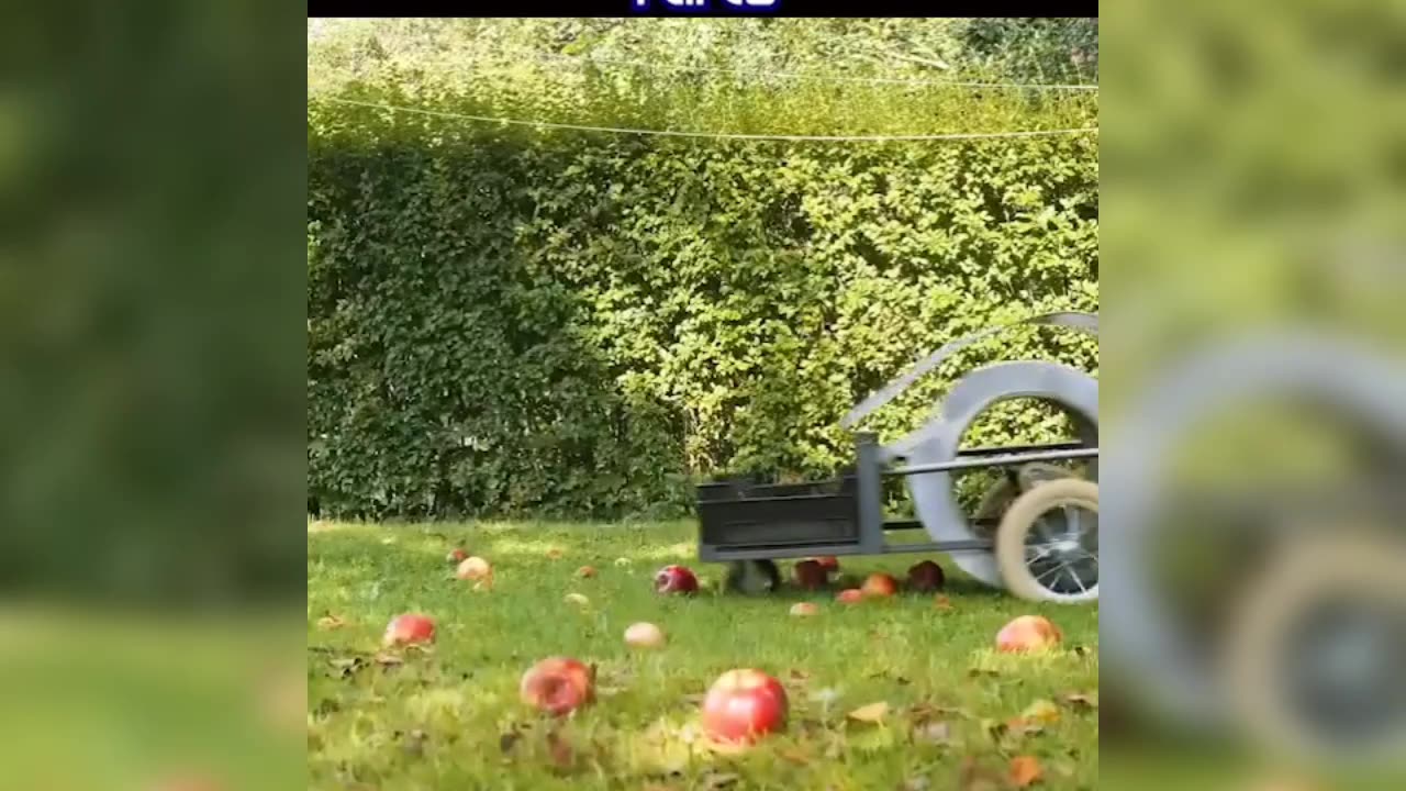 Apple 🍎🍎 collect with technology // amazing technology