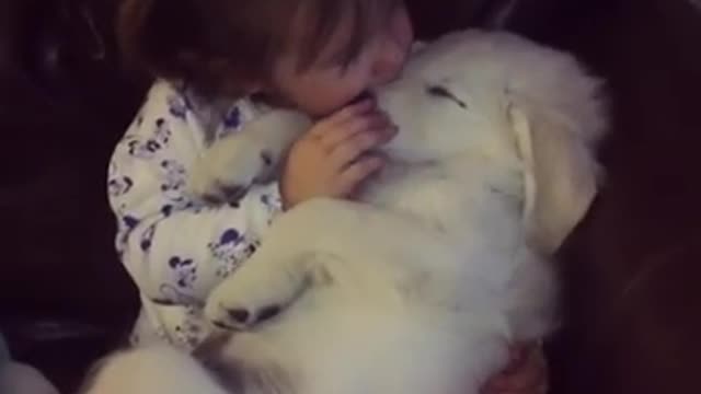 This is Why every Child should grow up with a dog