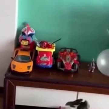 Cutest Puppys and Kittens from 2021 (9)