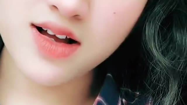 Dog barking fun