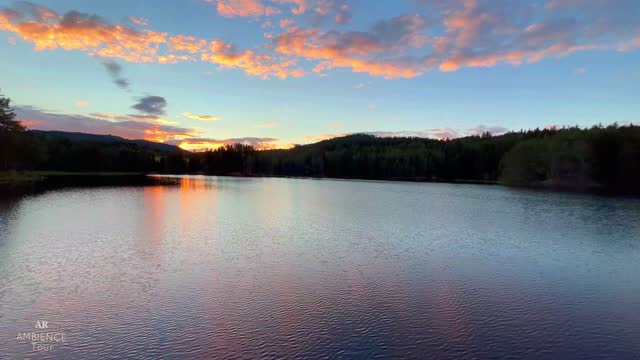 【4K】Walking Tour, NORWAY - Trondheim (Baklidammen) | Beautifil Nature Tour