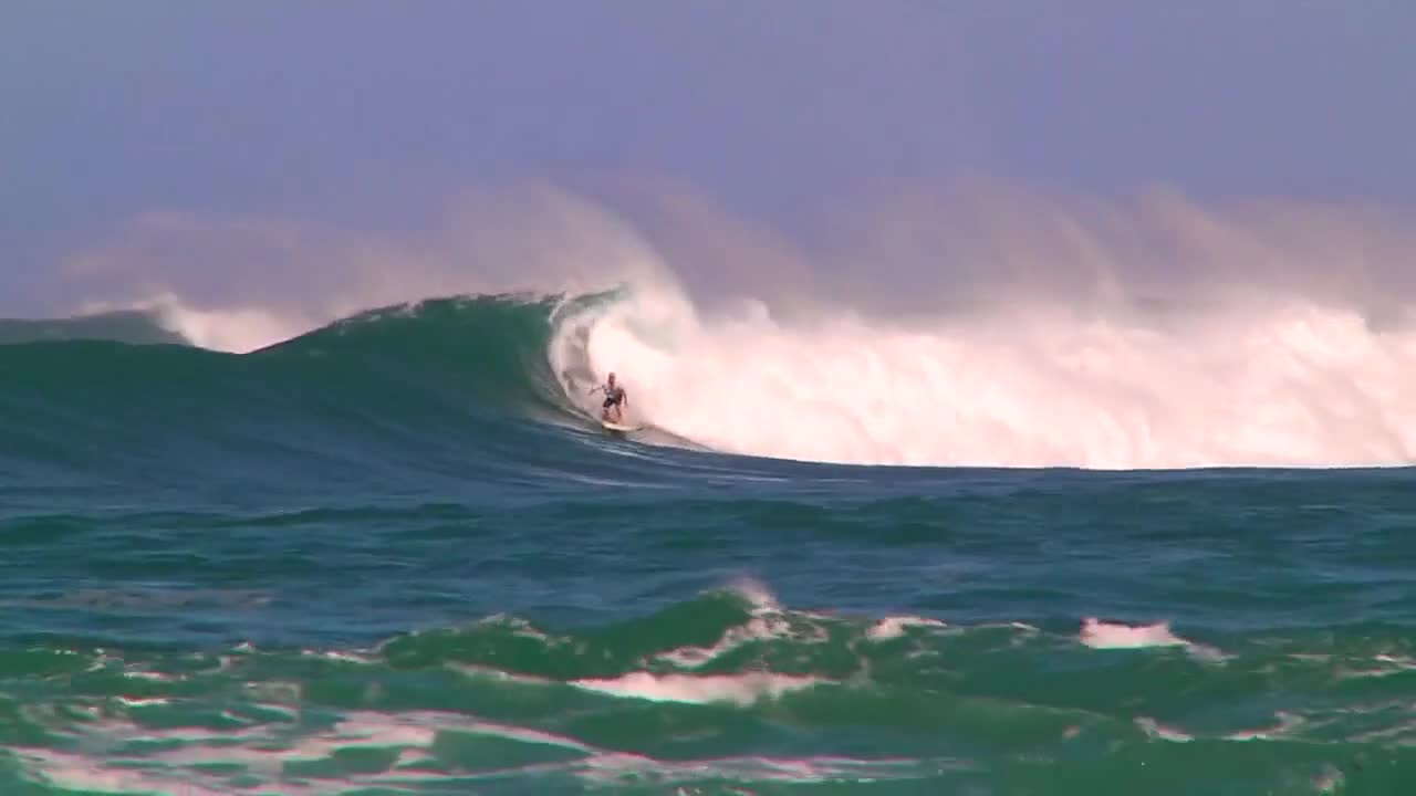 People Surfing