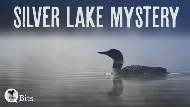 #532 // SILVER LAKE MYSTERY - LIVE