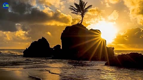 Praia de Tambaba, the first official nudist beach in northeastern Brazil