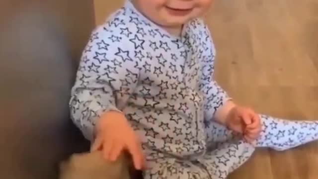 Funny Videos of puppies
