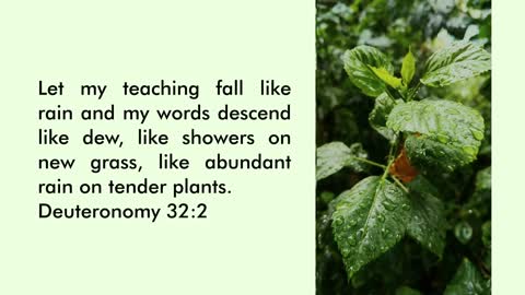 Verses with Images - Deuteronomy 32:2