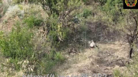 Ukrainian Shot Himself