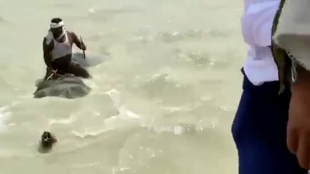 Swimming elephant