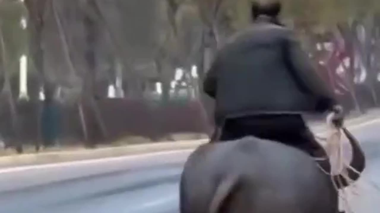 Riding a Bull on the Road?! Unbelievable Adventure of a Brave Man"