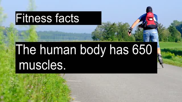 Fitness facts of body