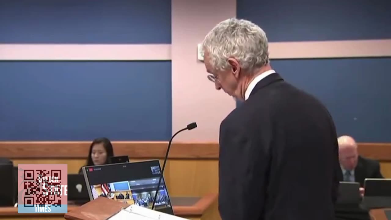 FANI WILLIS... LAWYER PRESENTS "FINAL SOLUTION"