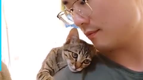 When the cat is in love with you *ADORABLE*