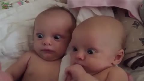 Best 10 funny baby videos