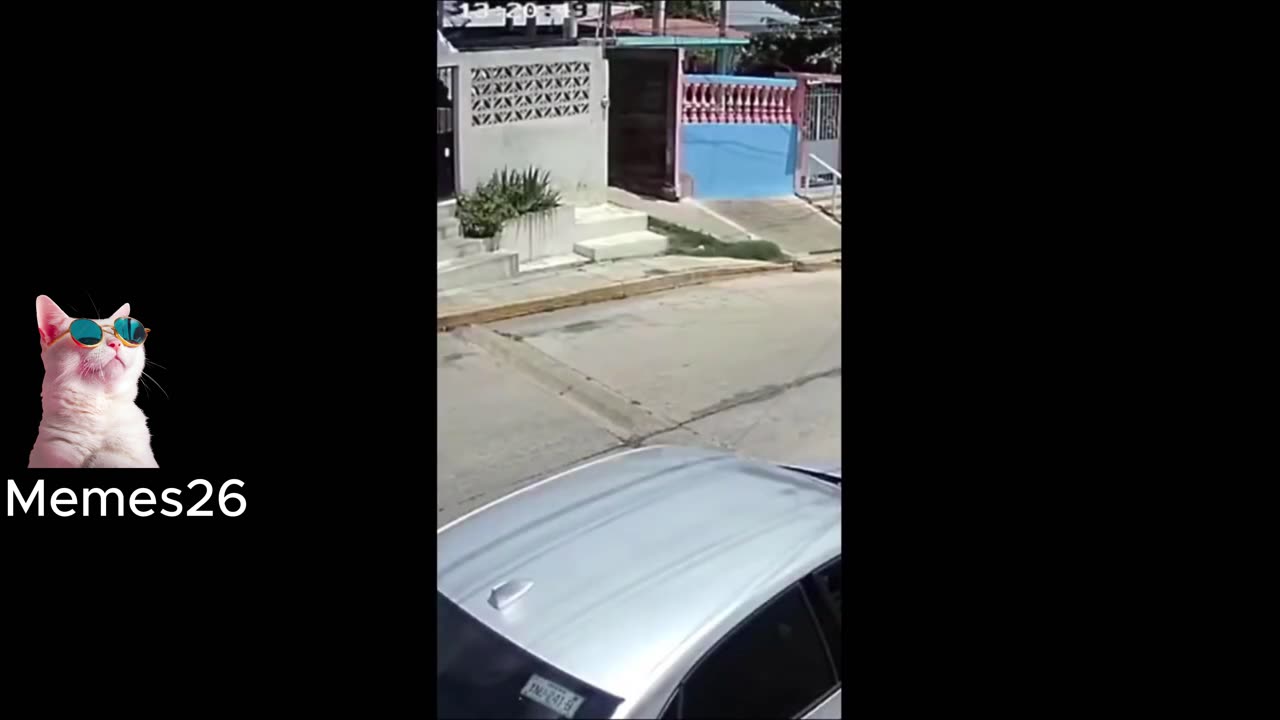 TRY NOT TO LAUGH 😆 Best Funny Videos Compilation PART: 2 😂😆 Memes #shorts #memes