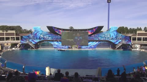 The Complete "One Ocean" Shamu Show at SeaWorld