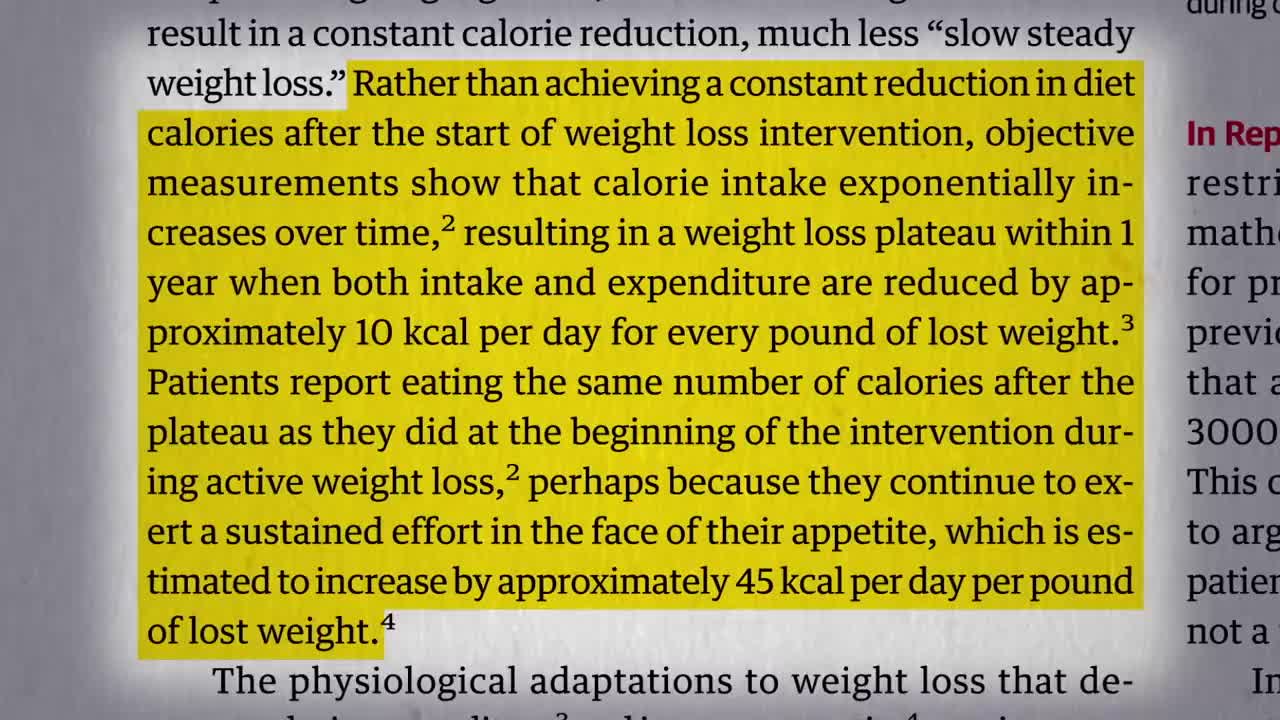 Thr Lose Your First 10 Lbs Workshop