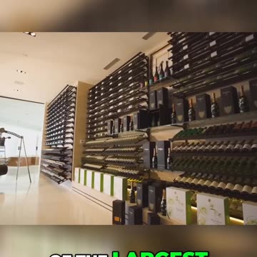 Living a Billionaire's Dream: Luxury Mansion Tour with Notch