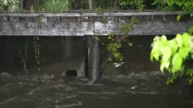 4-10-2021 Jackson, Ms Crazy Flash flooding, Tornado and SOT, cars under water