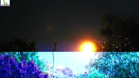 40 Minutes Gentle Rain At Night, Rain Sounds For Sleep, Insomnia,_Beauty Of Nature