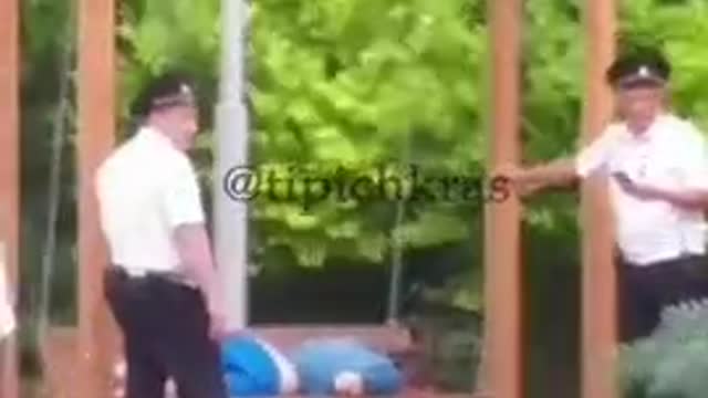 Дбайлива поліція