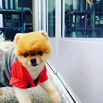 Alongando para começar bem o dia lindo