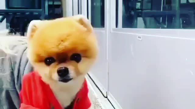 Alongando para começar bem o dia lindo